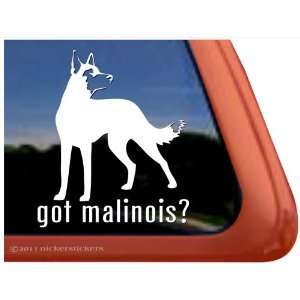  Got Malinois? ~ Belgian Malinois Vinyl Window Auto Decal 