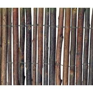  Fencing Willow 13Lx5H