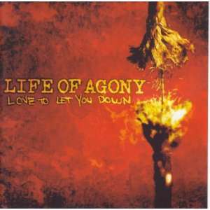   To Let You Down by Life Of Agony (Audio CD single): Everything Else