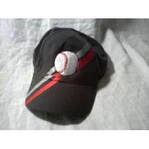  Embroidered Baseball Cap (Grey): Sports & Outdoors