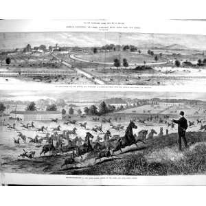   1879 American Race Horses Pierre Lorillard Farm Jersey