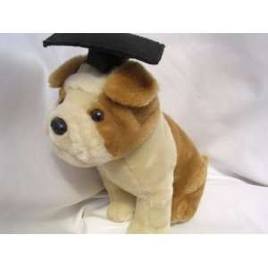  Graduation Dog Plush Toy 10 Collectible ; Barking Bulldog 