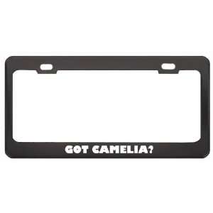 Got Camelia? Girl Name Black Metal License Plate Frame Holder Border 