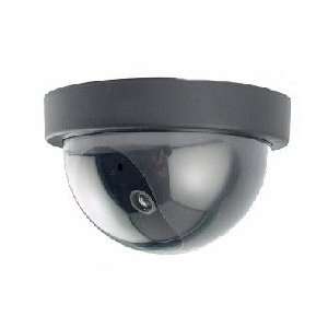    Dome Dummy Camera with Motion Activated Light: Everything Else