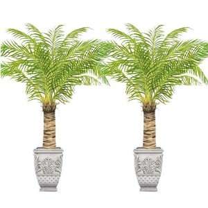  Urns & Palm Trees   Tatouage Rub On Wall Transfer