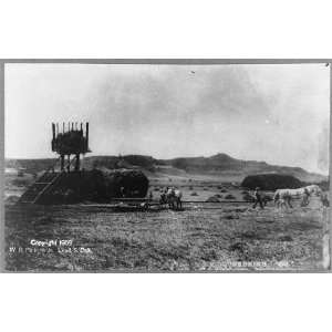    Making hay / Perkins.,1908,Lead, South Dakota