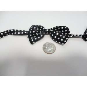 Dog Bow Tie Small Size (Black with Polka Dots): Kitchen 