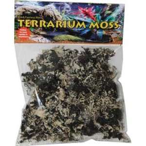  T Rex Inc. Black Fantasy Moss: Pet Supplies