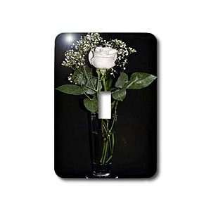 WhiteOak Photography Rose Prints   Ivory Rose in Vase   Light Switch 