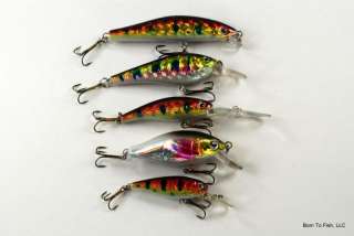 Lot of 5 Natural fishing Lure Bait/Tackle 4 Bass/Trout  