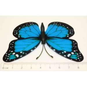   Semi Transparent Star Butterfly Fridge Magnets Ml001: Everything Else