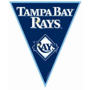   By Amscan Tampa Bay Rays Baseball Pennant Banner: Everything Else