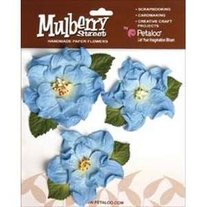 Mulberry Street Handmade Paper Wild Roses 3/Pkg Blue: Arts 