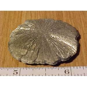  1.5 Pyrite Sun Mineral Beautiful Luster 0.6 Oz 