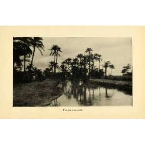  1931 Print Fayoum Faiyum Egypt Egyptian Landscape Palm Trees 