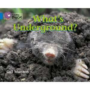  Whats Underground (Collins Big Cat S.) (9780007185863 