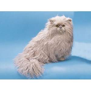 Persian Cat Sitting Down Collectible Figurine Kitten Statue Decoration
