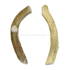  Antler Chew for Dogs   Large