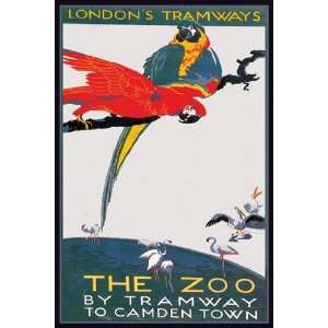  London Zoo: The Macaw by Van Jones 12x18: Kitchen & Dining