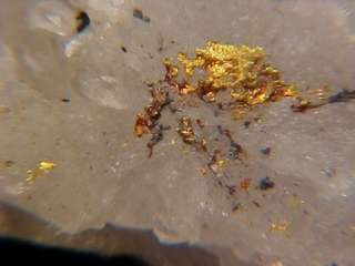   Native Gold Crystal on Quartz MARY HANLEY MINE, CALIFORNIA  