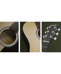 Fender Acoustic/ Electric Guitar Package  