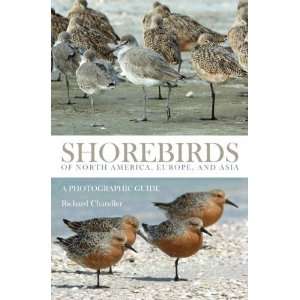 Shorebirds of North America, Europe, and Asia A 