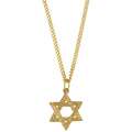 14k Yellow Gold Star of David Designer Necklace 
