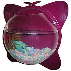 Butterfly Wall Mount Fish Bowl  