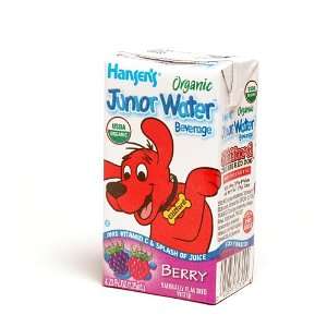 Hansen Beverage Organic Junior Water Berry, 4.23 Ounce Boxes (Pack of 