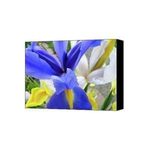 IRISES FLOWERS ARTWORK Blue Purple Iris Flowers 1 Botanical Floral 