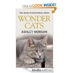 Start reading Wonder Cats on your Kindle in under a minute . Dont 