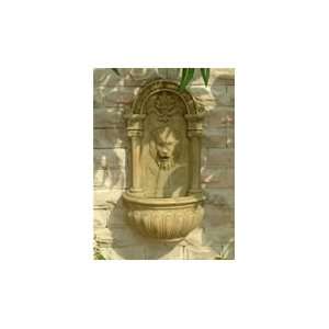 Deluxe Lion Head Wall Water Fountain:  Home & Kitchen