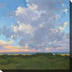 Kim Coulter Afternoon Sky II Giclee Canvas Art  Overstock