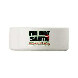 Dog Cat Food Water Bowl Christmas Im Not Santa But You Can Sit On My 