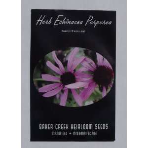  Baker Creek Heirloom Seeds   Echinacea Purpurea (Pure, Non 