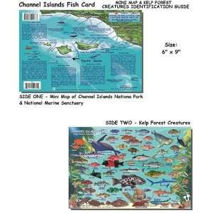  Channel Islands Fish ID