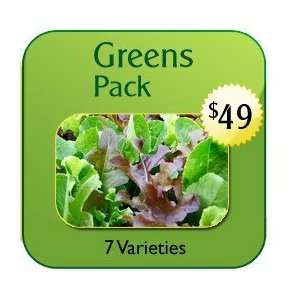  Greens Pack   Non Hybrid Seeds Patio, Lawn & Garden