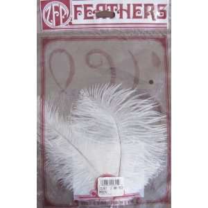  ZFP Feathers Pack of 2 FEATHER PLUMES 5   9 Long WHITE 