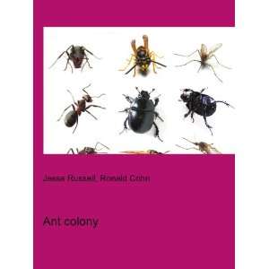  Ant colony Ronald Cohn Jesse Russell Books
