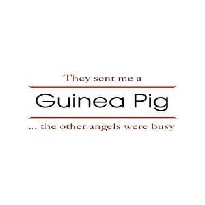  Guinea Pig Shirts