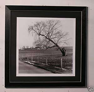 Black & white tree fence landscape picture framed  