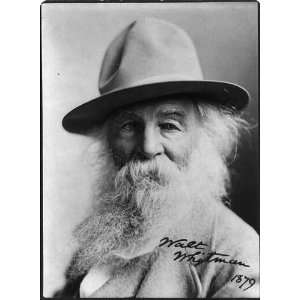 Walt Whitman,1819 1892,American poet,humanist,father of free verse 