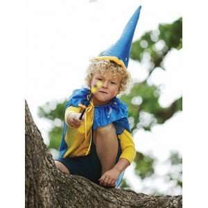  Wizard Costume Toys & Games