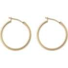Bold Gold Hoop Earrings  