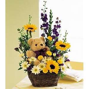  Bear Basket   Same Day Delivery Available Patio, Lawn 