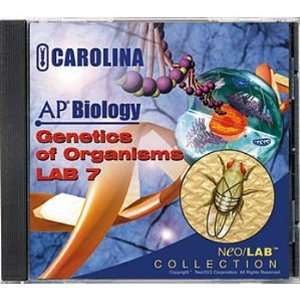 AP Biology Lab 7 Genetics of Organisms CD ROM  Industrial 
