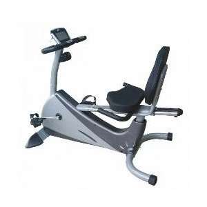 Delux Sunny Recumbent Stationary Bike:  Sports & Outdoors
