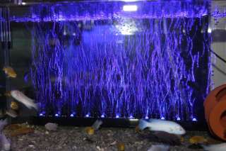 Aquarium Moon Light WaterProof LED Lighting Strip SMD Fish Tank 18/30 
