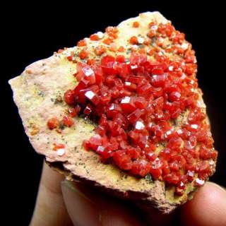 scarlet red VANADINITE crystal cluster BZ027  