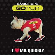 Sogar die französische Bulldogge Mr. Quiggly gewinnt in Skechers 